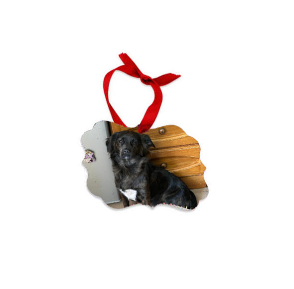 Appendino Natalizio Personalizzato Papiro